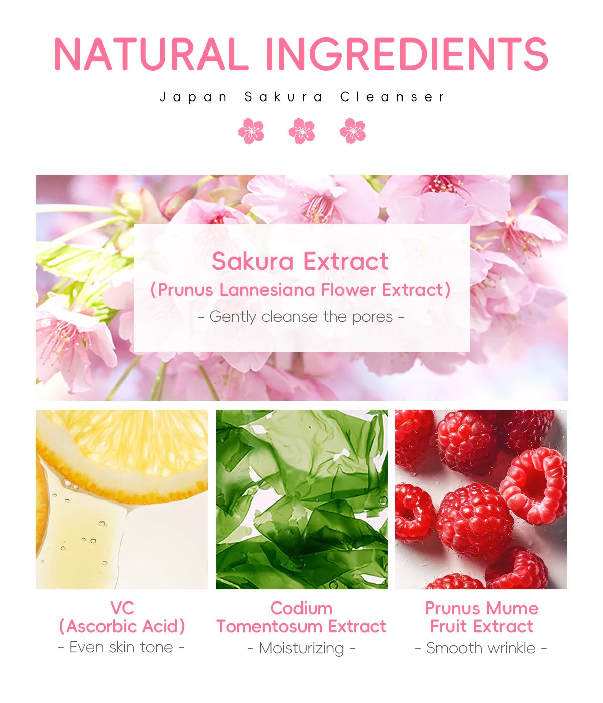 Limpiador Facial Sakura LAIKOU – Espuma Limpiadora 50g